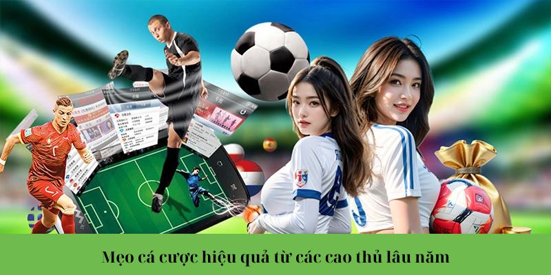 Mẹo đặt cược hiệu quả từ những cao thủ lâu năm